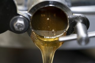 Une récente enquête a montré que sur 320 échantillons de miels importés, environ 46% étaient fortement suspectés de déroger aux règles de l'UE, notamment via l'ajout de sirops de sucre (image d'illustration).